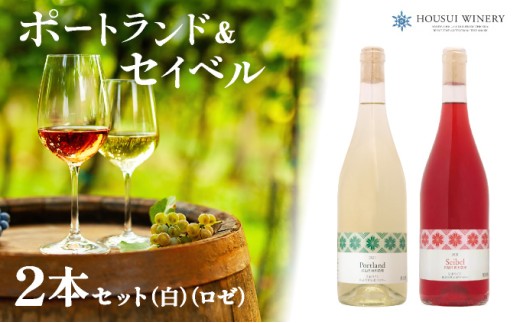 北海道岩見沢市の風土を生かした宝水ワイナリーワイン2本セット（白・ロゼ）【31101】