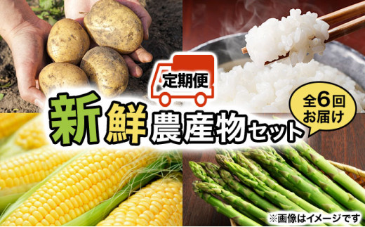 ＜先行予約＞いわみざわの新鮮農産物セット(5or6月～11月 全6回)※定期便【11106】