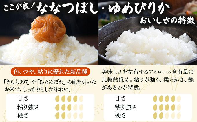 《令和 7 年産》北海道米 食べ比べセット 10kg [a164-025]| 北海道 岩見沢産 米 白米 お米 精米 ゆめぴりか ななつぼし 北海道 岩見沢市 山下商店