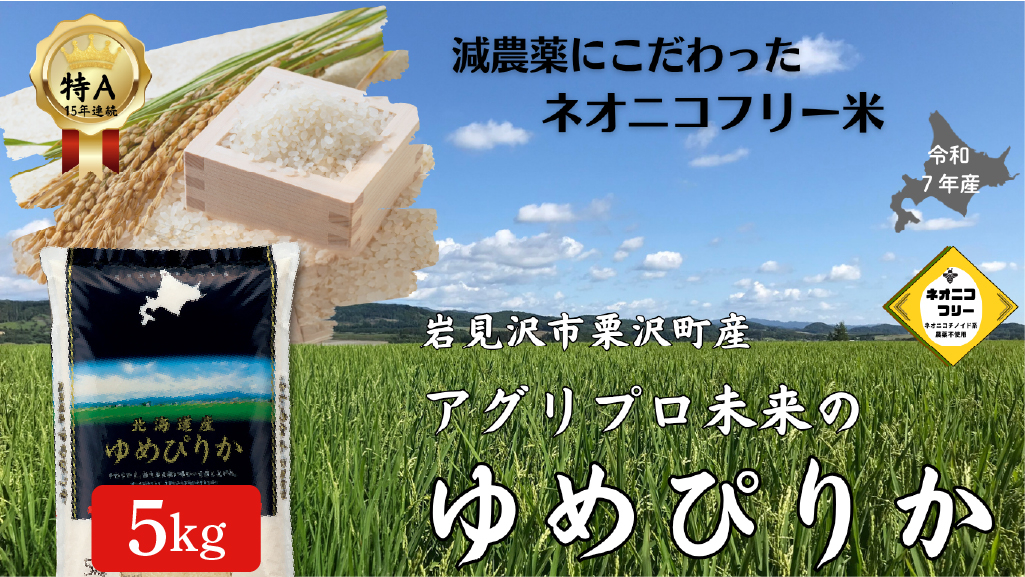 令和7年産 アグリプロ未来のゆめぴりか 5kg【a178-001】北海道 岩見沢市 北海道産 お米 米 精米 白米 ご飯 ごはん