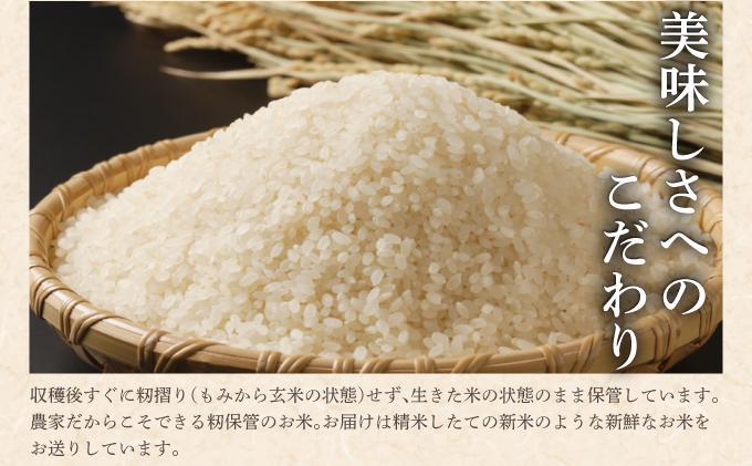 令和7年産 アグリプロ未来のゆめぴりか 10kg(5kg×2袋)【a178-002】北海道 岩見沢市 北海道産 お米 米 精米 白米 ご飯 ごはん