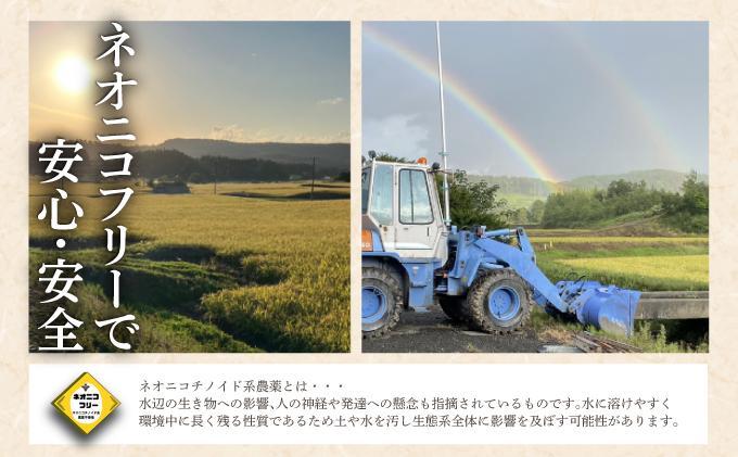 令和7年産 アグリプロ未来のゆめぴりか 10kg(5kg×2袋)【a178-002】北海道 岩見沢市 北海道産 お米 米 精米 白米 ご飯 ごはん