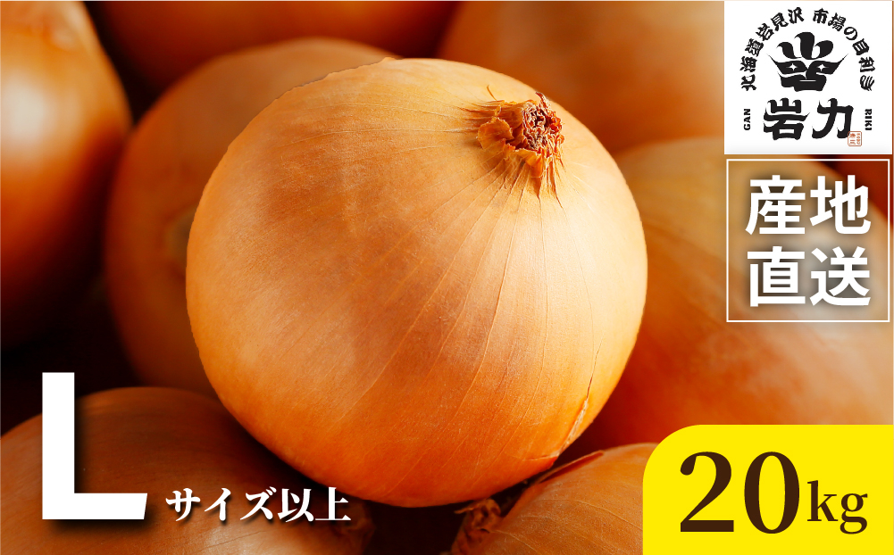 北海道岩見沢産たまねぎ 20kg (市場の目利き・岩力ブランド) | 玉ねぎ タマネギ 玉葱 オニオン 野菜【a142-009】
