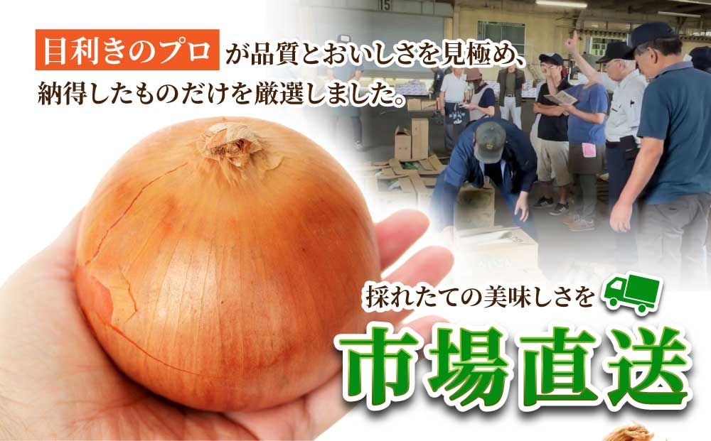 北海道岩見沢産たまねぎ 20kg (市場の目利き・岩力ブランド) | 玉ねぎ タマネギ 玉葱 オニオン 野菜【a142-009】