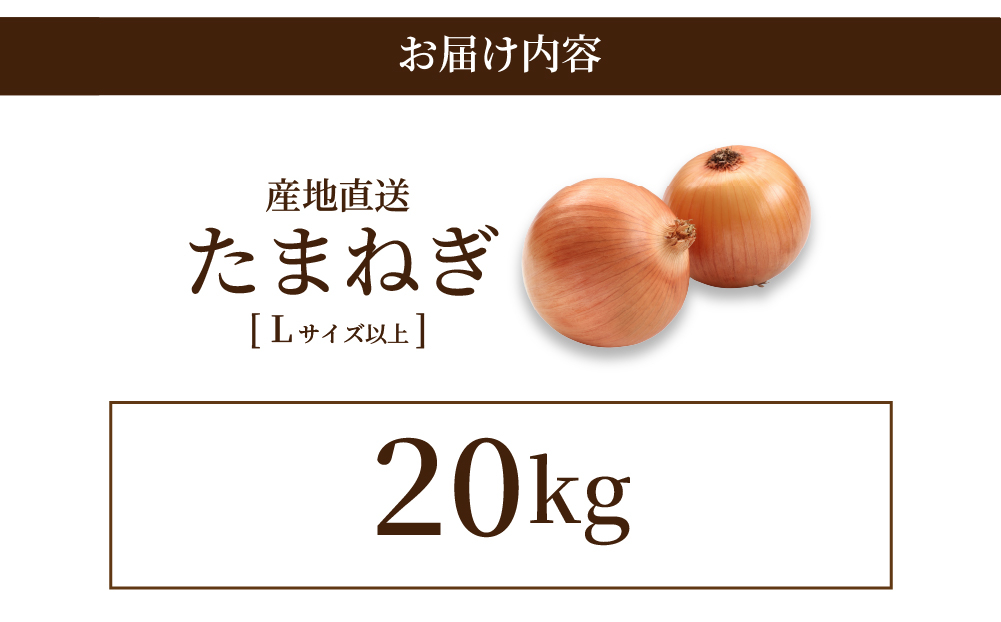 北海道岩見沢産たまねぎ 20kg (市場の目利き・岩力ブランド) | 玉ねぎ タマネギ 玉葱 オニオン 野菜【a142-009】