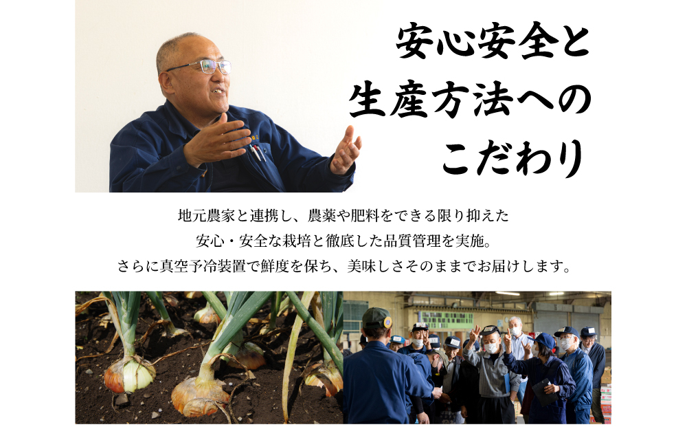 北海道岩見沢産たまねぎ 20kg (市場の目利き・岩力ブランド) | 玉ねぎ タマネギ 玉葱 オニオン 野菜【a142-009】