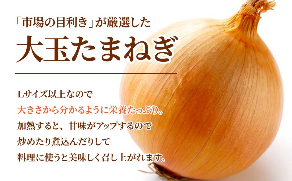 北海道岩見沢産たまねぎ 20kg (市場の目利き・岩力ブランド) | 玉ねぎ タマネギ 玉葱 オニオン 野菜【a142-009】