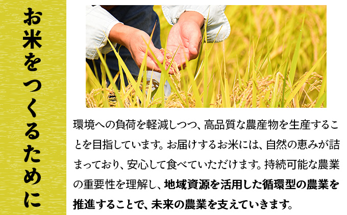 令和7年産 上志文産メープル米「ななつぼし」10kg