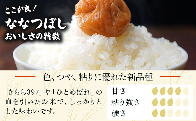 令和7年産 ＜定期便6回＞ 山下商店ななつぼし 5kg | 北海道岩見沢産 ななつぼし 米 白米 お米 岩見沢市【a164-008】