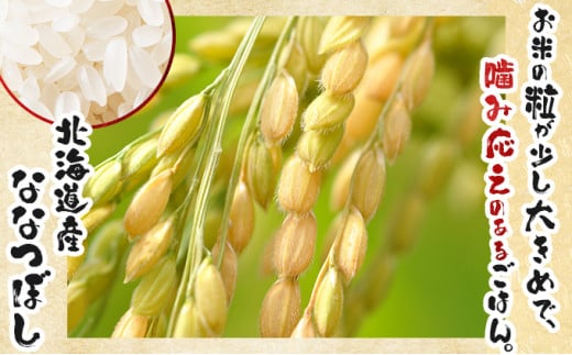 《令和7年産！》『100%自家生産精米』善生さんの自慢の米 ななつぼし10kg※一括発送