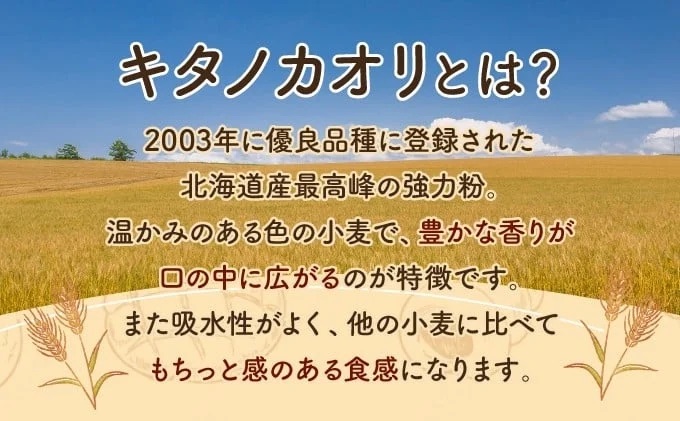 【定期便・全10回】【人気パンの福袋】『キタノカオリ小麦のフルコース』食パン1本・ロールパン5個・キタノカオリ小麦のおまかせパン10個(計16個) 1セット ×10回 ｜プレミアム小麦キタノカオリ100％ パン ぱん 食パン パン屋 自家製 朝食 おやつ 冷凍 北海道 岩見沢