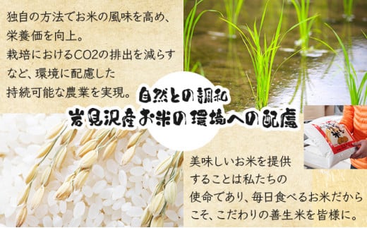 《令和7年産！》『100%自家生産精米』善生さんの自慢の米 ななつぼし10kg※一括発送