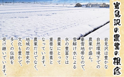 《令和7年産！》『100%自家生産精米』善生さんの自慢の米 ななつぼし10kg※一括発送