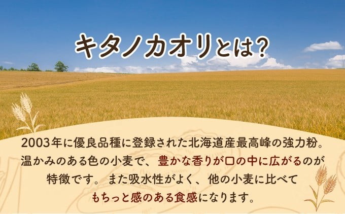 【定期便・全11回】【驚きのふわふわ触感】『ガナッシュシフォンケーキ』キタノカオリ石窯ガナッシュ（2ホール/1セット）×11回 ｜スイーツ チョコ ケーキ プレミアム小麦キタノカオリ100％ パン屋 自家製 朝食 おやつ 冷凍 北海道 岩見沢