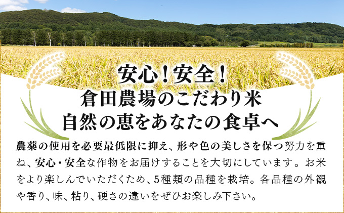 令和7年産 北海道岩見沢市産 あやひめ精米 10kg  ≪沖縄・離島配送不可≫