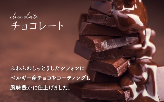 【定期便・全12回】【驚きのふわふわ触感】『ガナッシュシフォンケーキ』キタノカオリ石窯ガナッシュ（2ホール/1セット）×12回 ｜スイーツ チョコ ケーキ プレミアム小麦キタノカオリ100％ パン屋 自家製 朝食 おやつ 冷凍 北海道 岩見沢