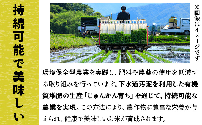 令和7年産 上志文産メープル米「ななつぼし」10kg