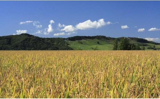 【無洗米】食べ比べ12kgセット(ゆめぴりか2kg・ななつぼし2kg・ふっくりんこ2kg・ゆきさやか2kg・あやひめ2kg・おぼろづき2kg)