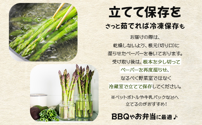 【先行予約／令和8年産】北海道岩見沢産　夏グリーンアスパラ　L〜2Lサイズ 1kg【41104】