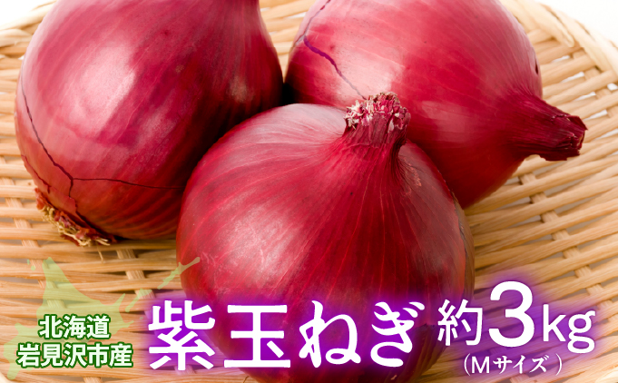北海道岩見沢市産 紫玉ねぎ20個【09107】