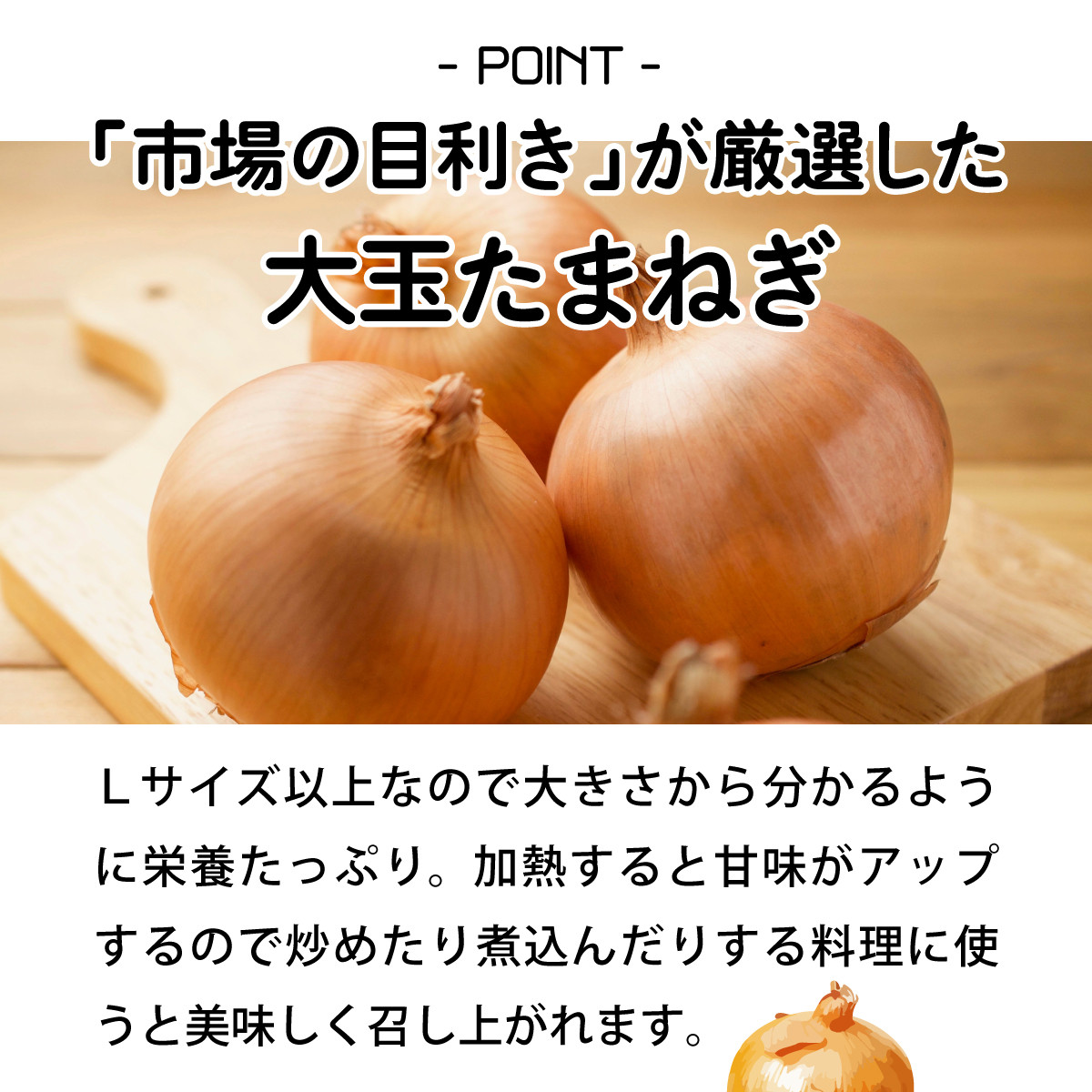 【引換券（現地受取）】市場の目利き 北海道岩見沢産たまねぎ 10kg