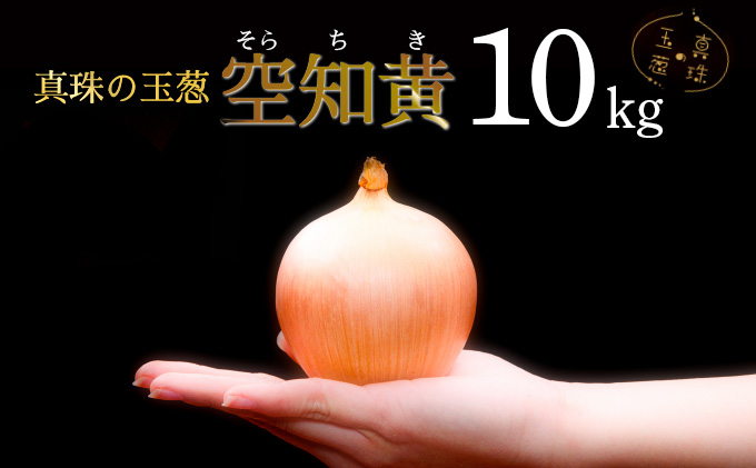 真珠の玉葱 空知黄 10kg ≪海のミネラルで育てた幻の玉葱空知黄≫【50106】