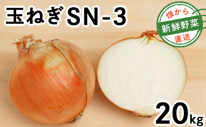 【先行予約】畑から直送の新鮮野菜！玉ねぎ（SN-3）20kg