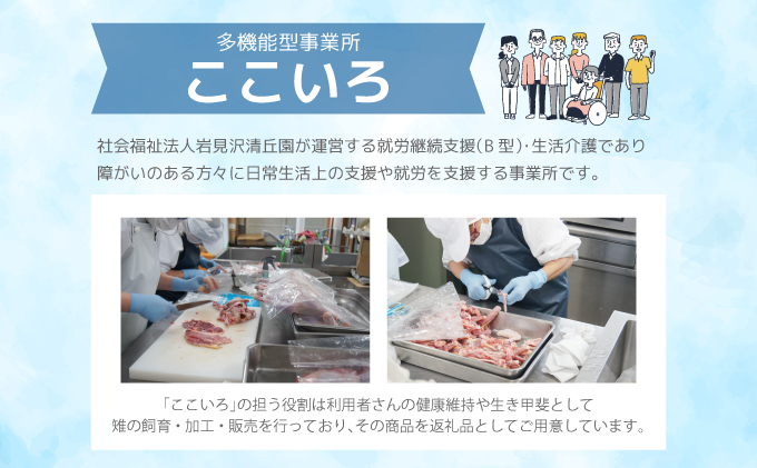 宝きじの手ごねはんばーぐ［ハンバーグ 冷凍 ジビエ キジ 雉 肉 ヘルシー 低カロリー お弁当 簡単 焼くだけ 簡単調理 味付き］
