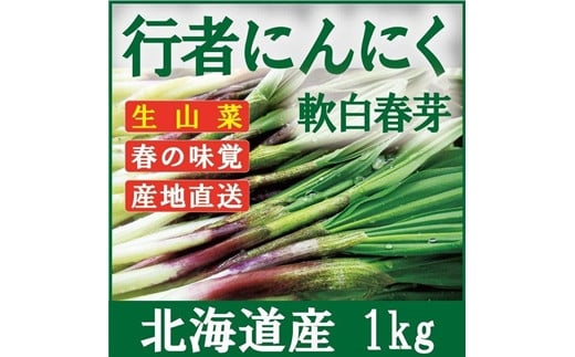 令和6年産 行者にんにく芽 (生) 1kg ≪数量限定・3/31締め切り≫ 【09121】