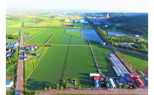 粘りと風味の美食米「おぼろづき」と旨辛の「ご飯のおとも」セット【18105】