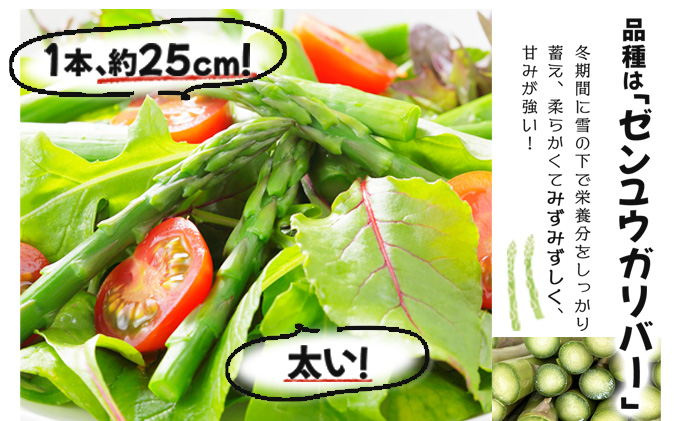 【先行予約／令和8年産】北海道岩見沢産　春グリーンアスパラ　2Lサイズ 1kg【41103】