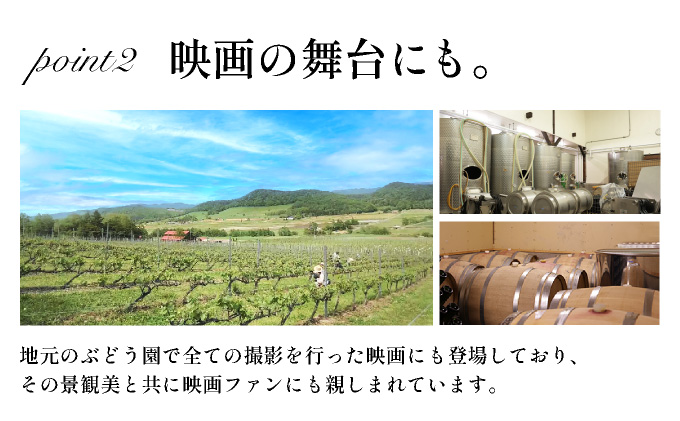 北海道岩見沢市の風土を生かした宝水ワイナリー「雪の系譜」ワイン２本セット（赤・白）【31103】