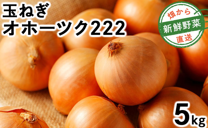 【先行予約】畑から直送の新鮮野菜！玉ねぎ（オホーツク222）5kg