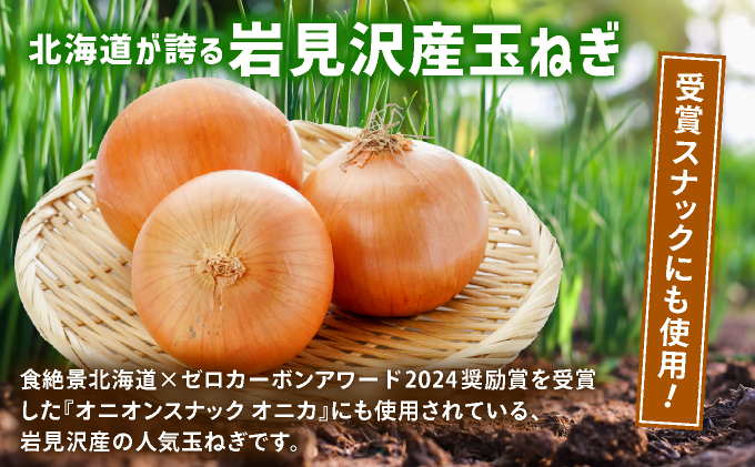 岩見沢産「平井康之さん家のたまねぎ」M玉 2.5kg【食絶景北海道×ゼ ロカーボンアワード2024 奨励賞『オニオンスナック オニカ』で使用】たまねぎ 玉葱 タマネギ 産地 まとめ買い 贈り物 甘い 野菜 北海道 送料無料