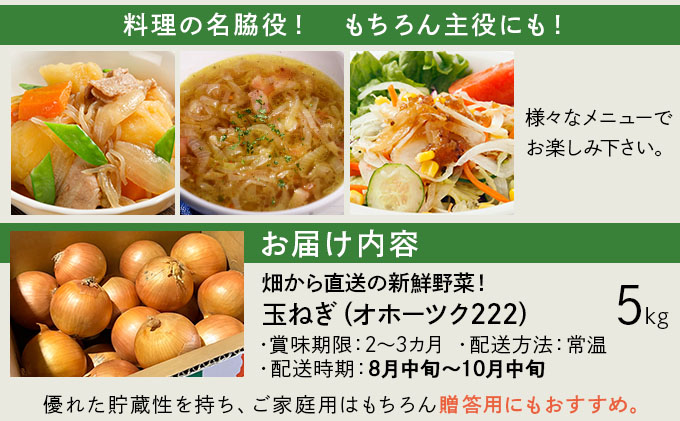 【先行予約】畑から直送の新鮮野菜！玉ねぎ（オホーツク222）5kg