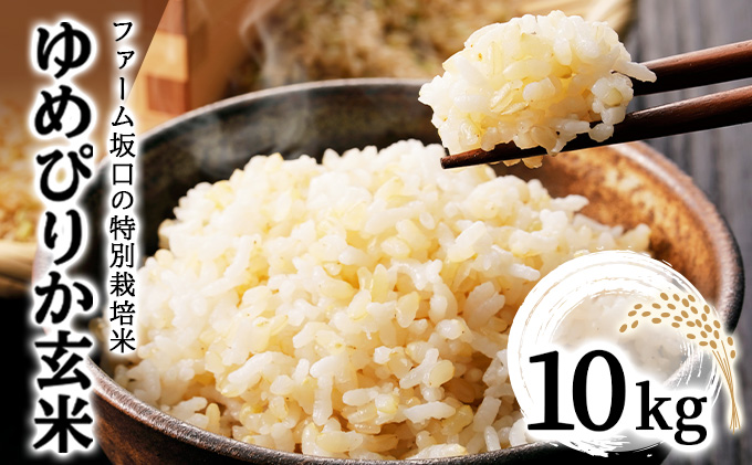 令和7年産！ファーム坂口の特別栽培米 ゆめぴりか玄米 10kg (10kg×1袋)