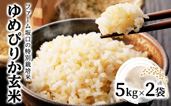 令和7年産！ファーム坂口の特別栽培米 ゆめぴりか玄米 10kg (5kg×2袋)