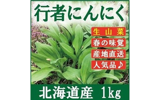 令和6年産 行者にんにく葉(生) 1kg≪数量限定・4/15締め切り≫ 【09122】