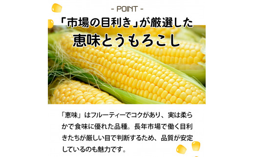 ≪先行予約≫ 市場の目利き 北海道岩見沢産とうもろこし「恵味 2L 10本」