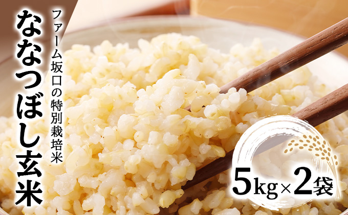 令和7年産！ファーム坂口の特別栽培米 ななつぼし玄米 10kg (5kg×2袋)