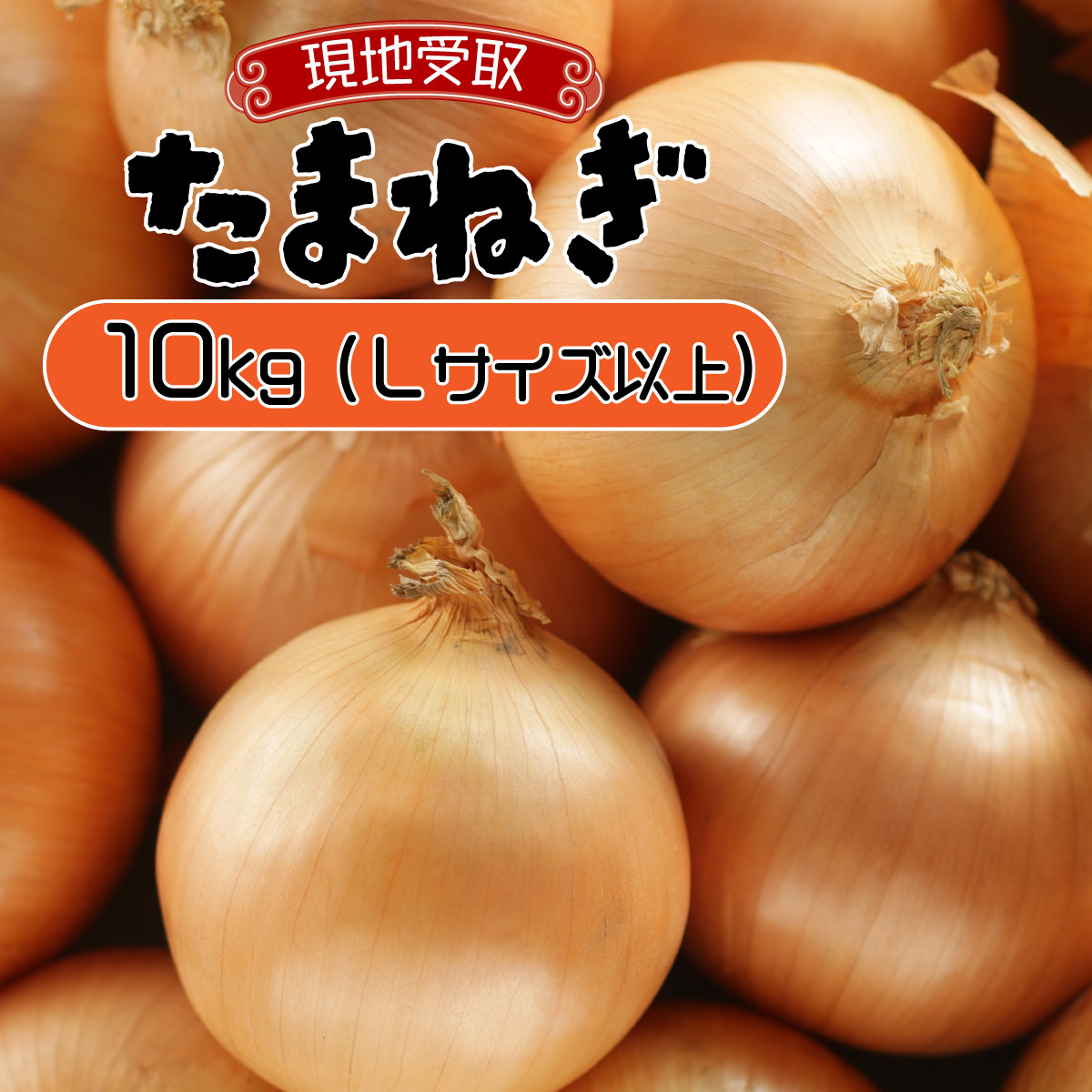 【引換券（現地受取）】市場の目利き 北海道岩見沢産たまねぎ 10kg