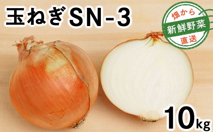 【先行予約】畑から直送の新鮮野菜！玉ねぎ（SN-3）10kg