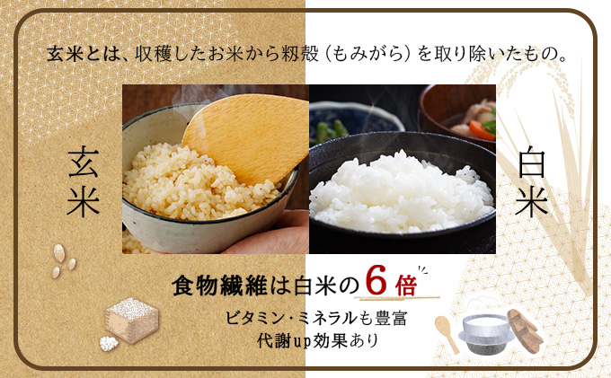 令和7年産！ファーム坂口の特別栽培米 ななつぼし玄米 10kg (5kg×2袋)