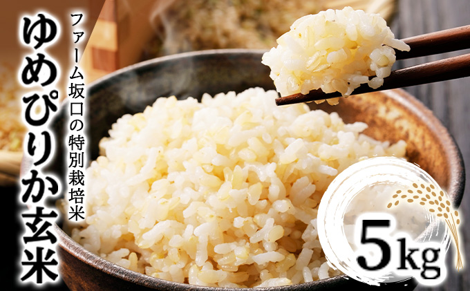 令和7年産！ファーム坂口の特別栽培米 ゆめぴりか玄米 5kg