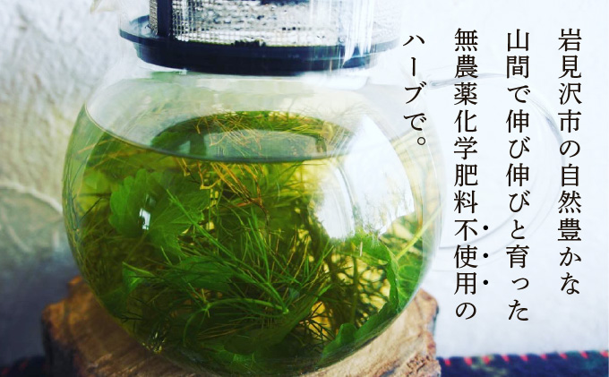 【定期便】森のハーブティーセット(3点合計39g) ≪1ヶ月に1回 計6回のお届け≫【無農薬・化学肥料不使用】【51102】