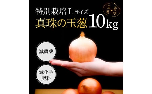 真珠の玉葱 特別栽培Lサイズ10kg≪海のミネラルで育てた特別栽培玉葱≫【50102】