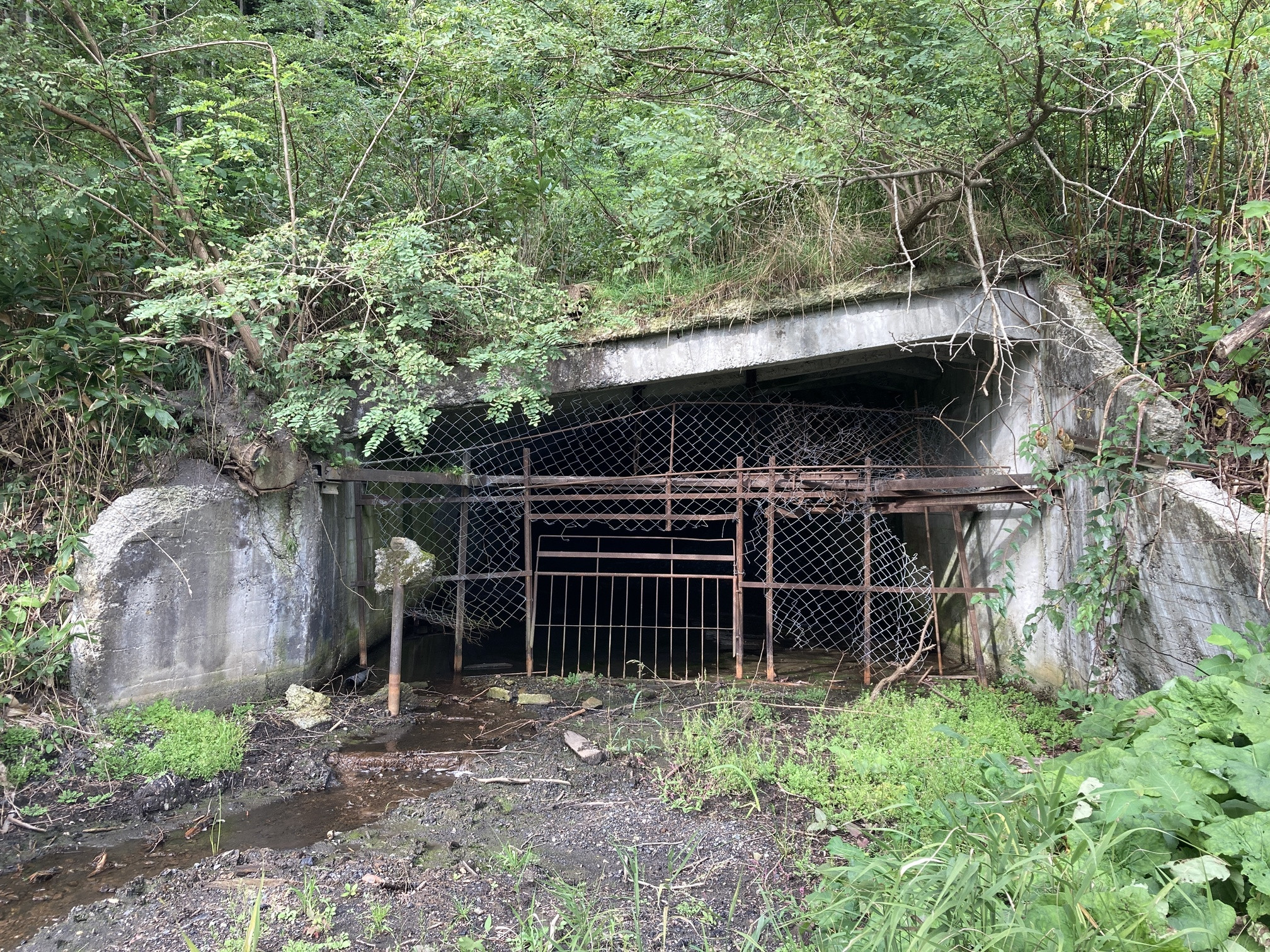 「炭鉄港専門ガイドと巡る」産業遺産見学ツアー