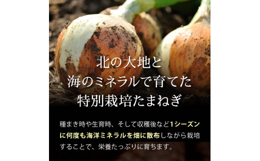 真珠の玉葱 特別栽培Lサイズ5kg≪海のミネラルで育てた特別栽培玉葱≫【50101】