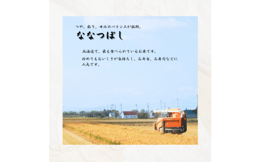 【令和5年産】北海道一の米処“岩見沢”の自信作! ななつぼし（10kg×5ヶ月） 合計50kg ※定期便【11105】