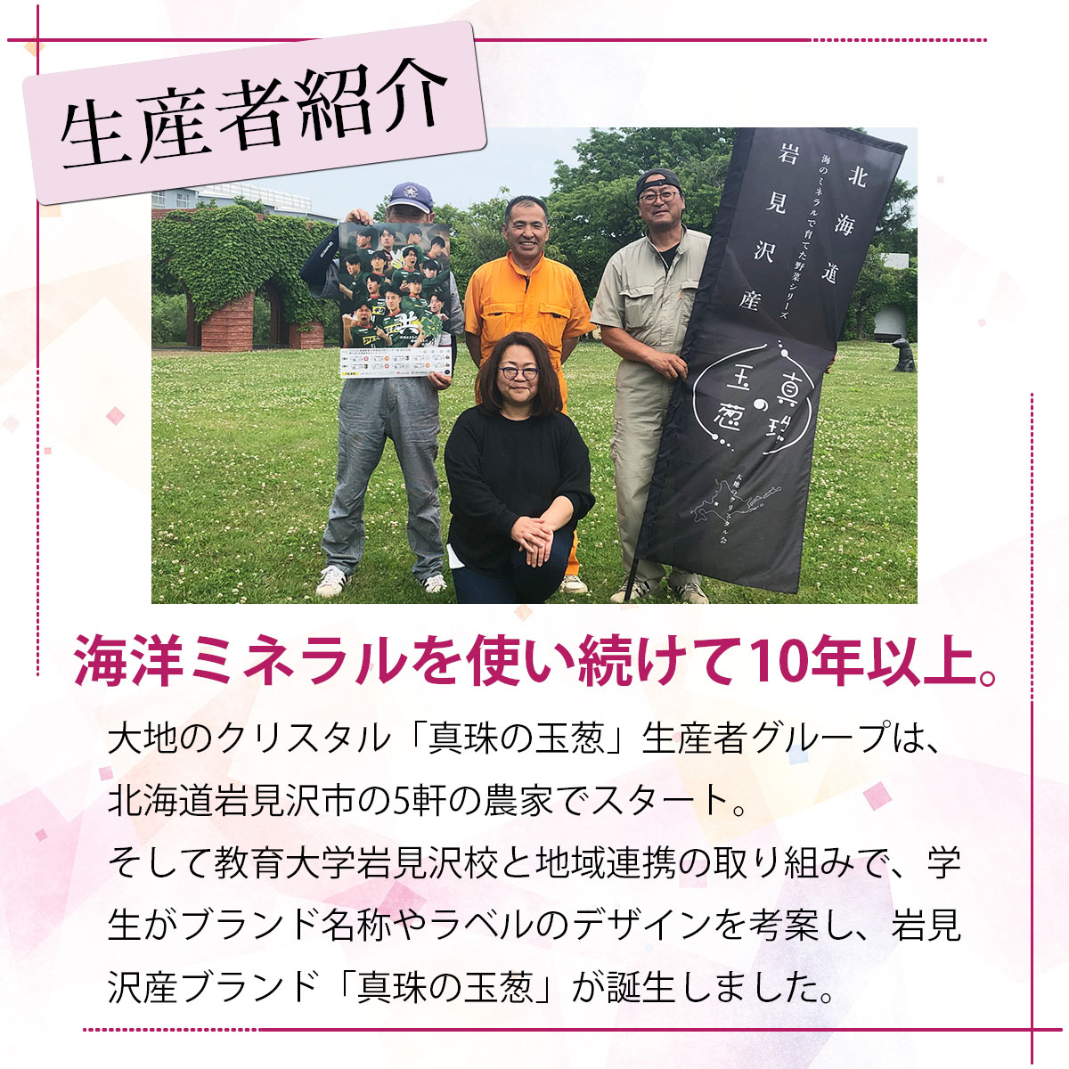 真珠の玉葱 特別栽培Lサイズ5kg(赤玉葱5個入り) ≪海のミネラルで育てた特別栽培玉葱≫【50108】